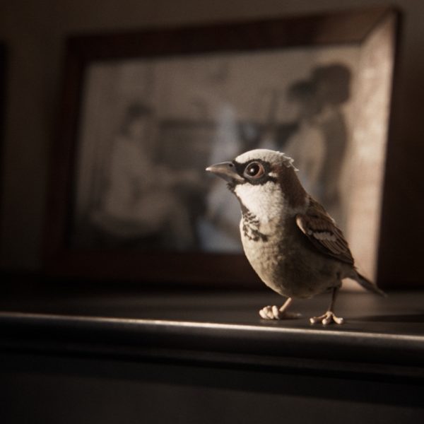 ASparrowsSong_Stills_006